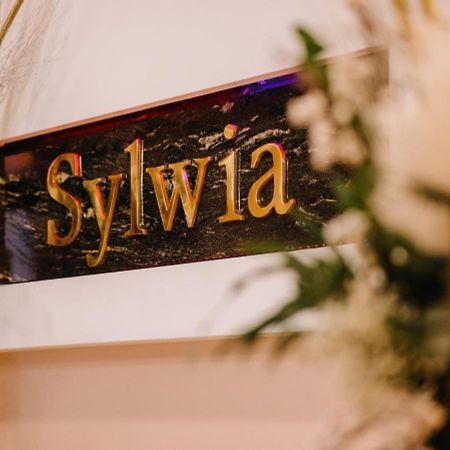 Hotel Sylwia Sosnicowice Экстерьер фото